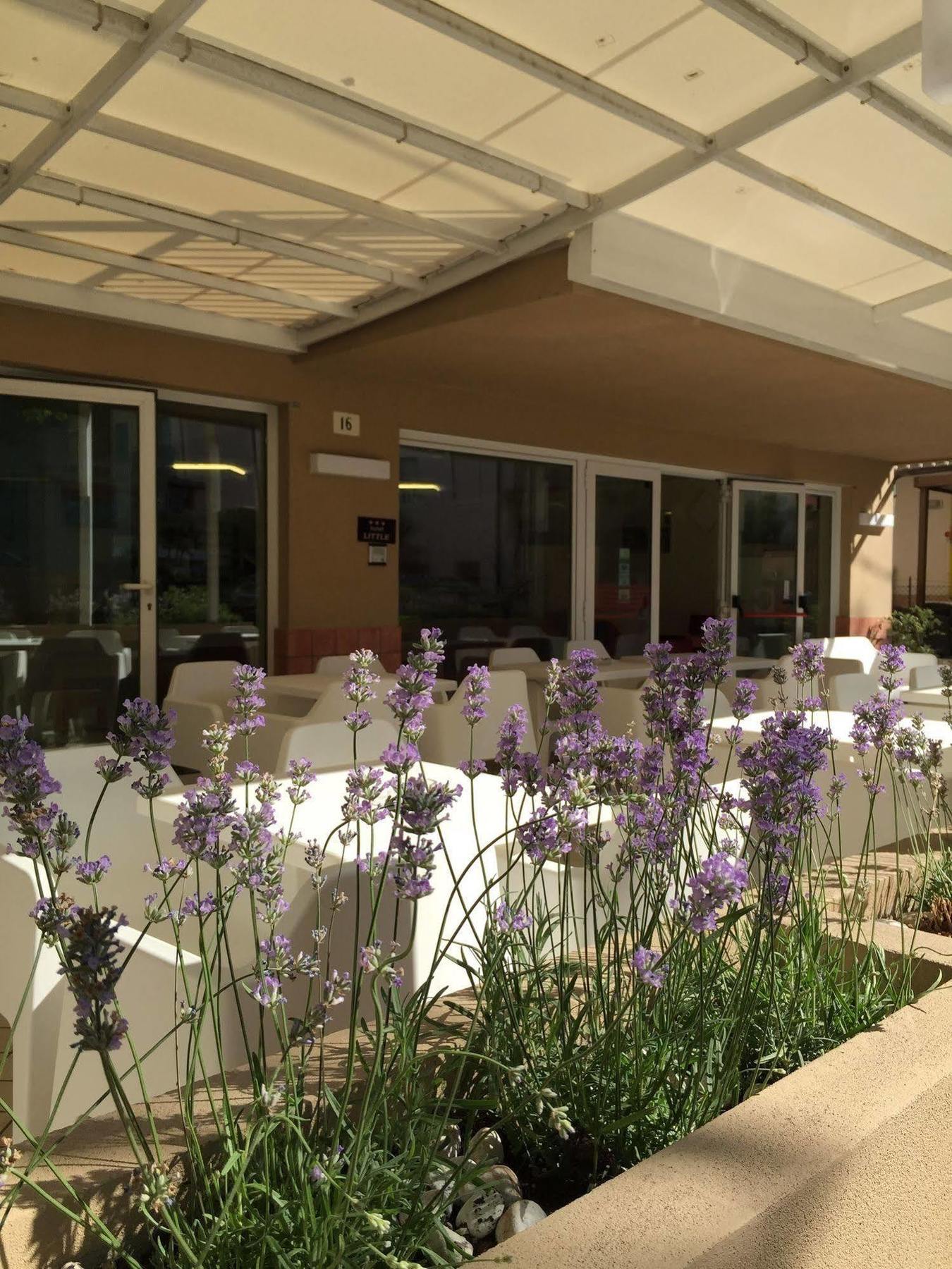 Hotel Little Rimini Exterior foto